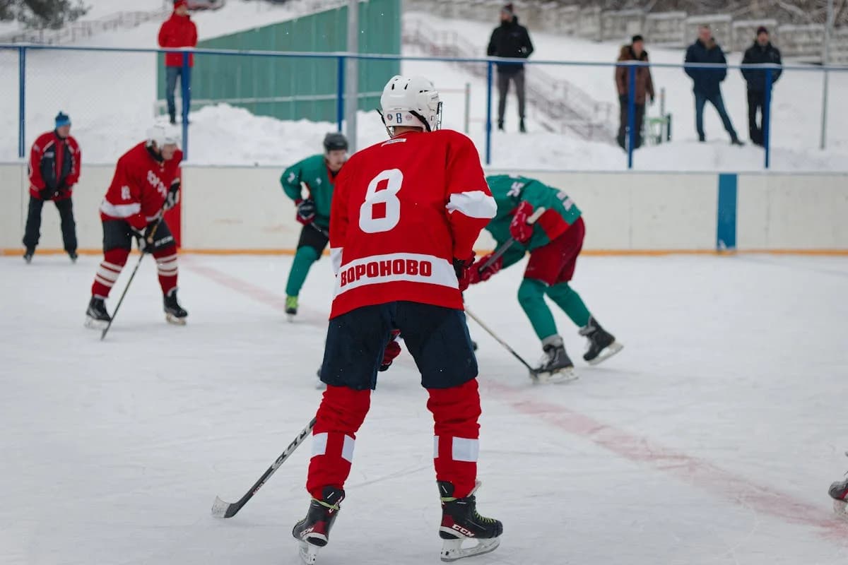 Ice hockey players