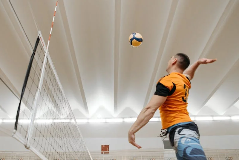 Volleyball player